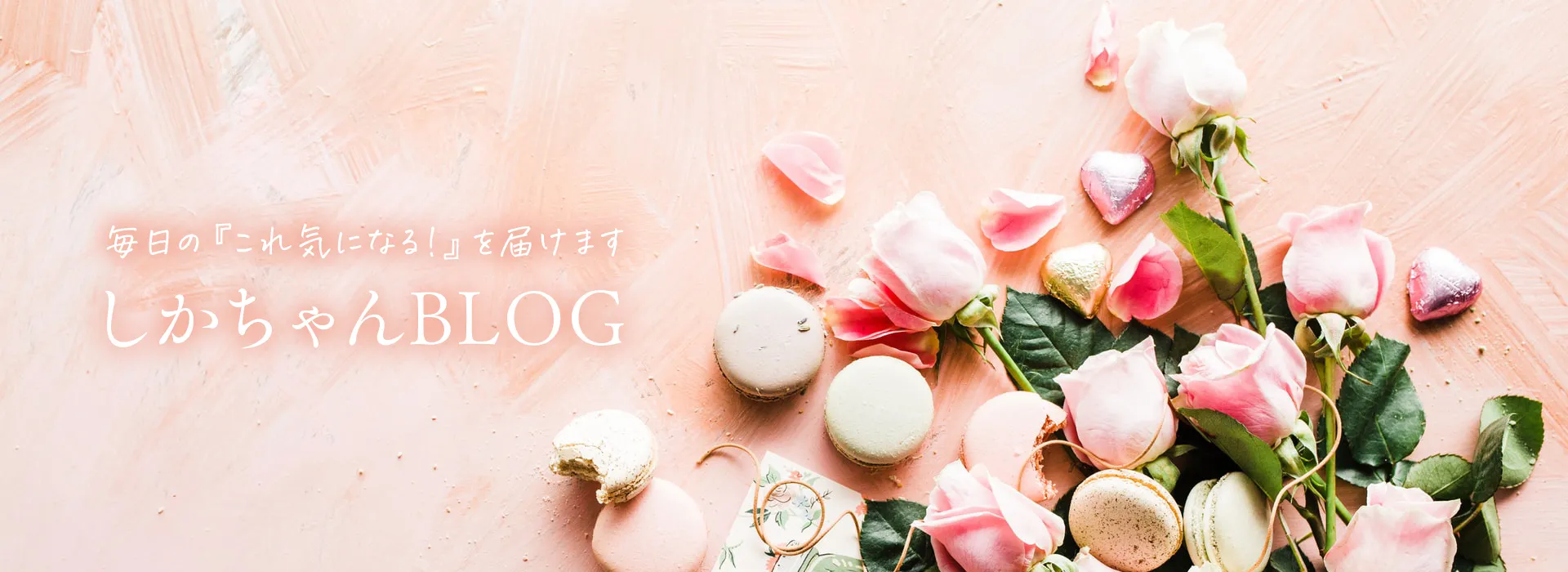 しかちゃんBLOG