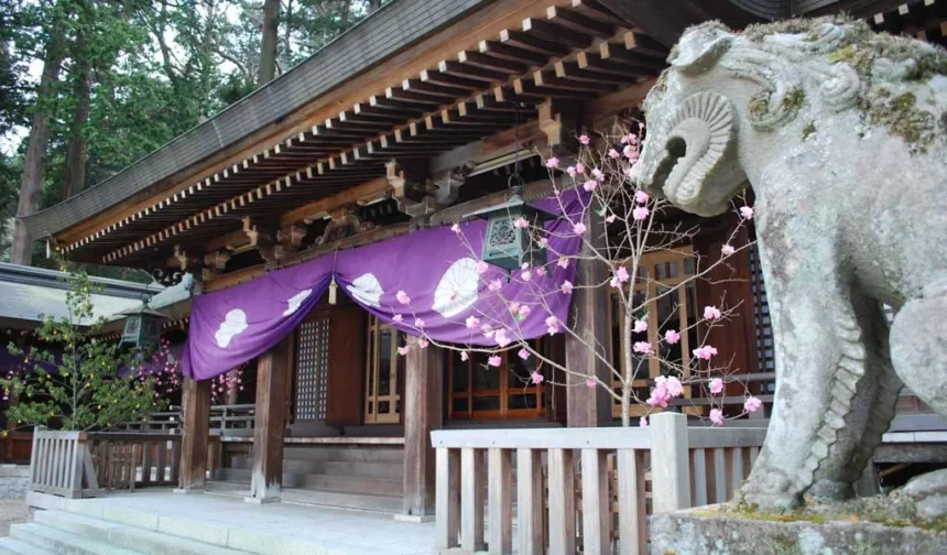 【2026年午年】岐阜の“馬にまつわる神社”おすすめ5選「飛驒一宮 水無神社」