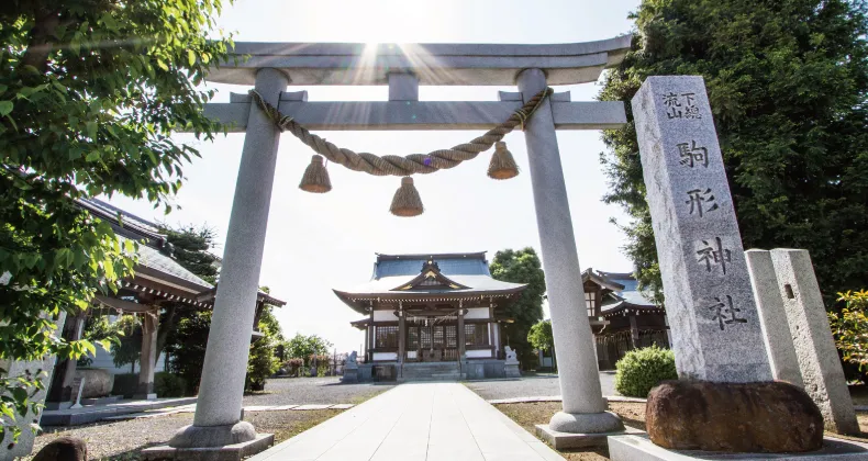【2026年午年】千葉の“馬にまつわる神社”おすすめ5選「駒形神社」