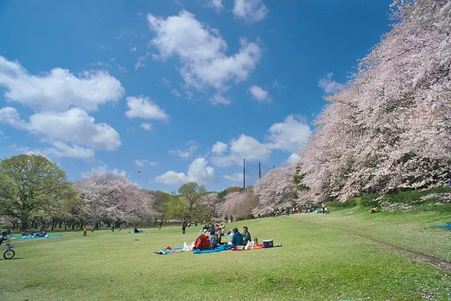 砧公園(世田谷区)