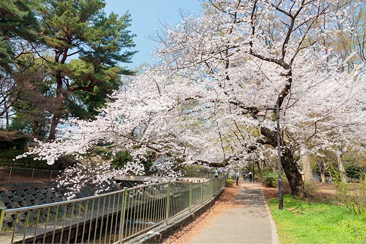 和田堀公園(杉並区)